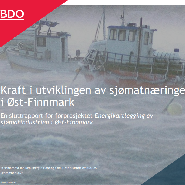 Kraft i utviklingen av sjømatnæringen