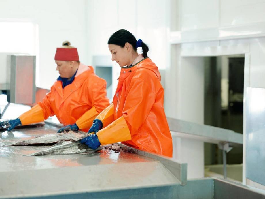 Norcod undertegner slakteavtale