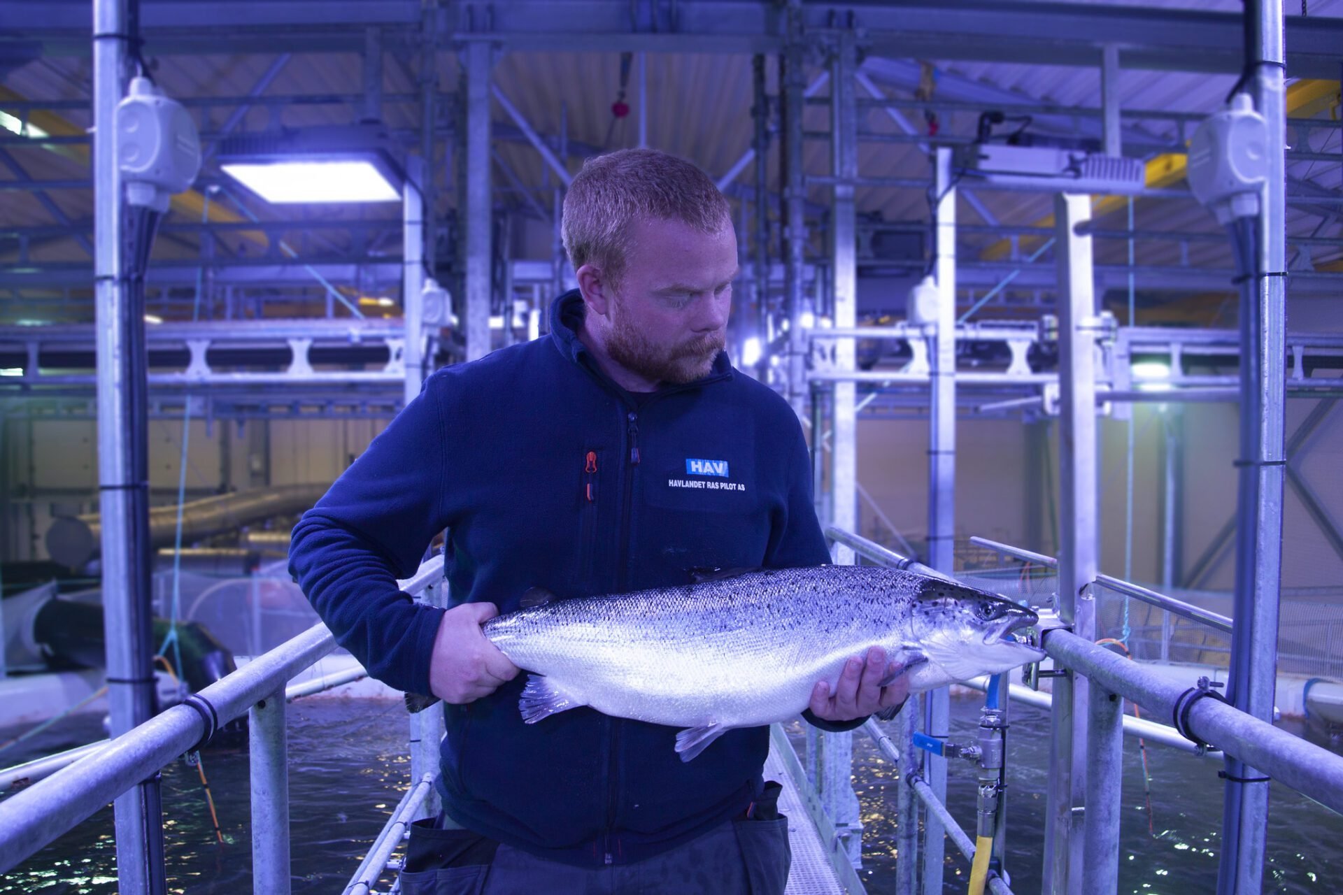 Full klaff på første forsøk med landbasert laks for Havlandet