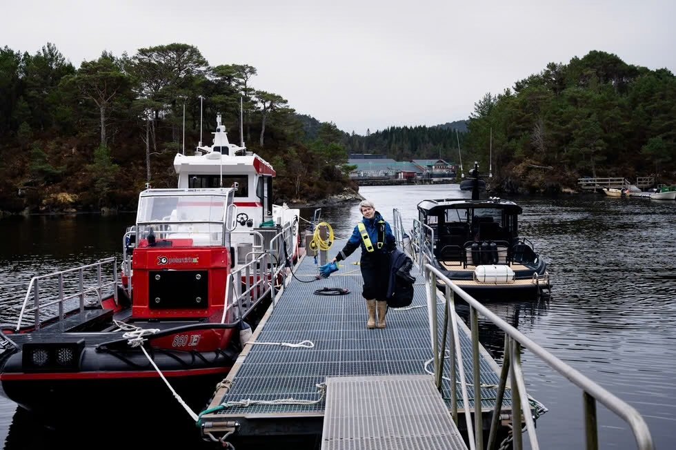 En kyst som henger sammen – eller glir fra hverandre&nbsp;