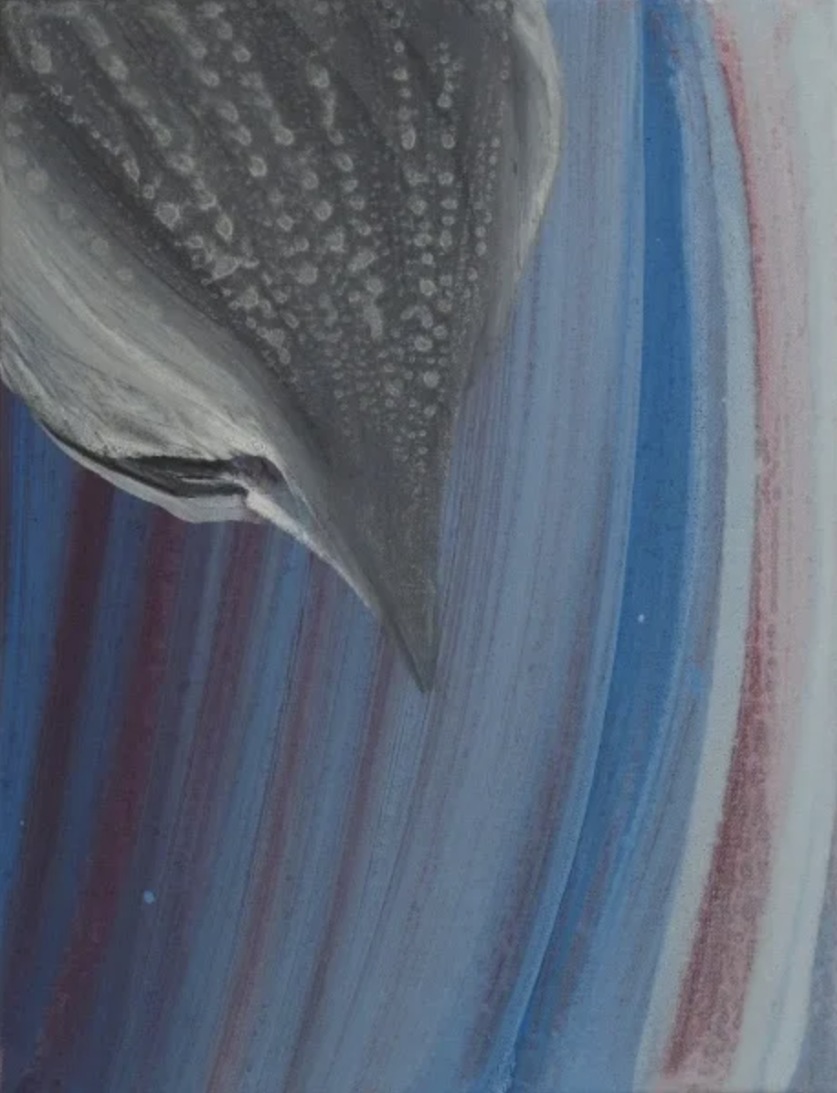 Screenshot 2026-01-08 at 13.08.32.png