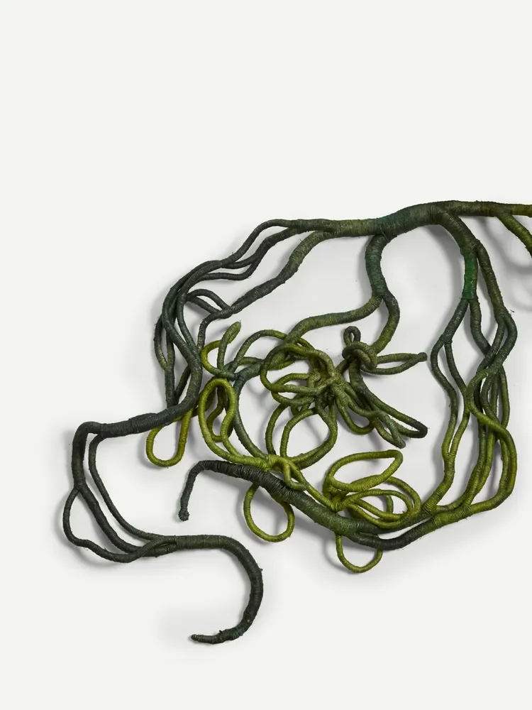 sarahmyerscoughgallery-aude-franjou-green-vine-3-2026.webp