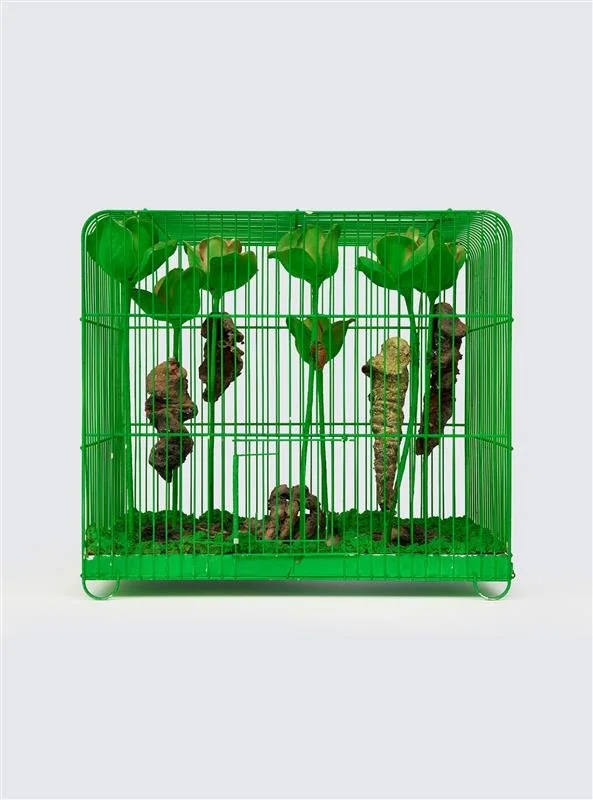 KUDO 77803_front view_TN020226.jpg