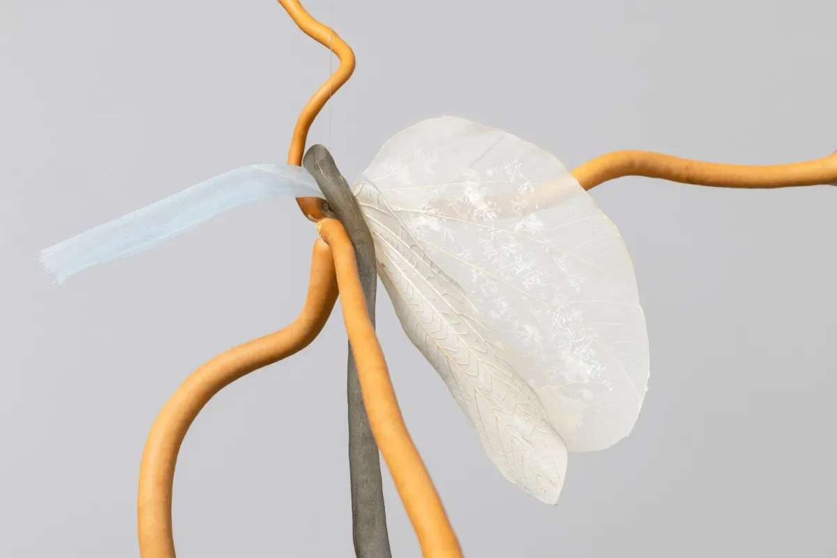 Modern Art Bennet Street / Hu Xiaoyuan