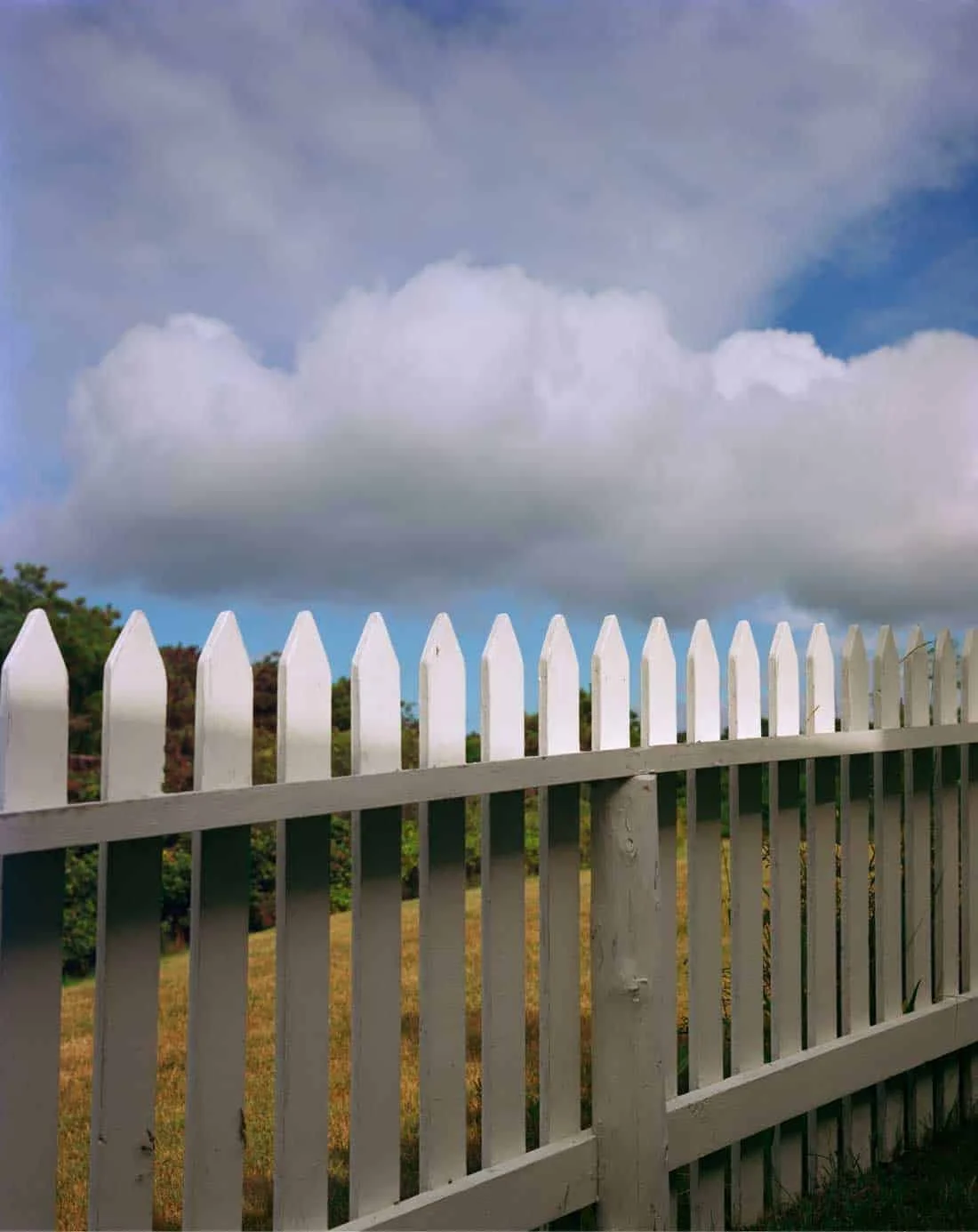 Joel-Meyerowitz-Fence_Cloud-Truro-Massachussetts-1976-Archival-pigment-print.jpg