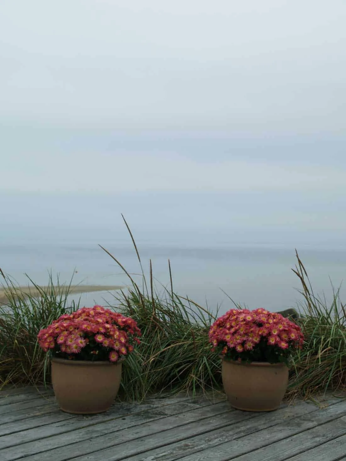 Joel-Meyerowitz-Cape-Cod-Provincetown-2004-Archival-pigment-print.jpg
