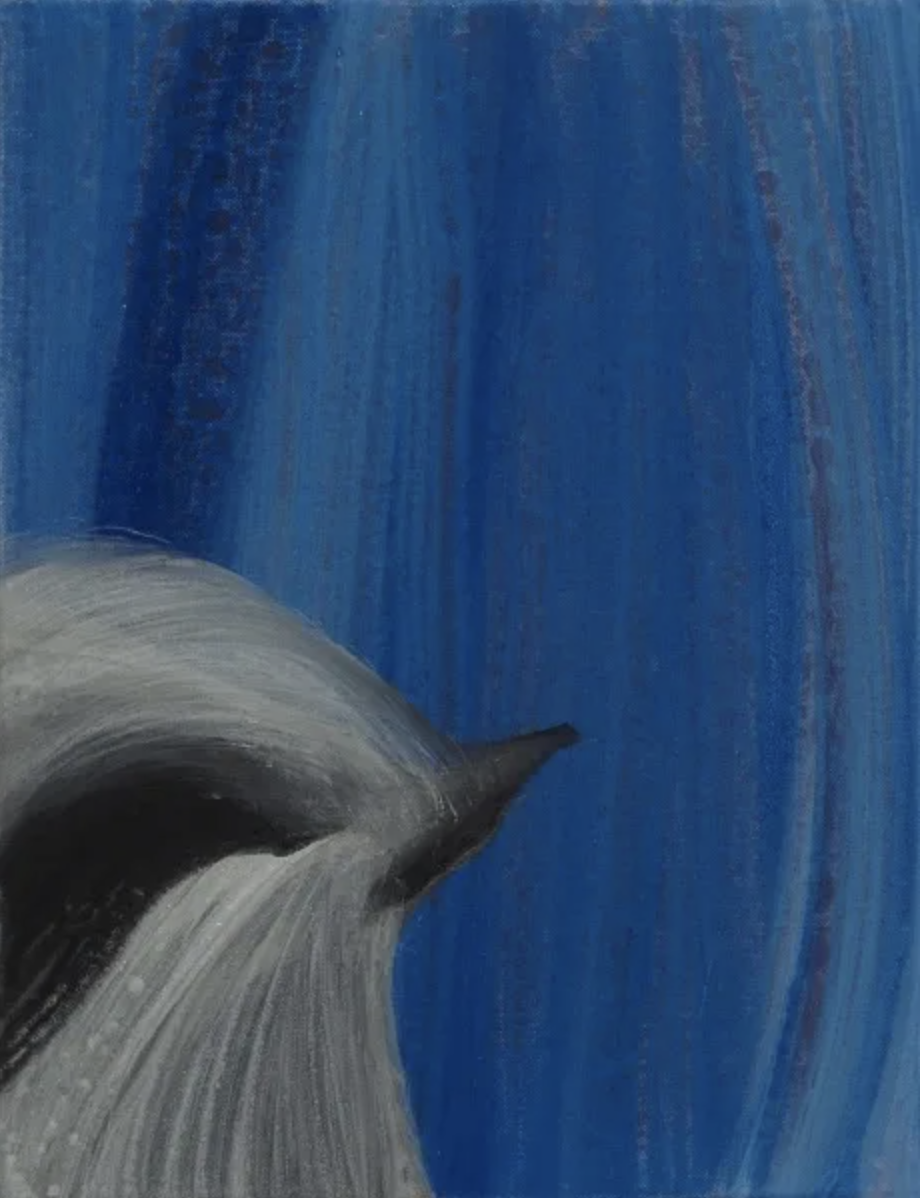 Screenshot 2026-01-08 at 13.08.06.png