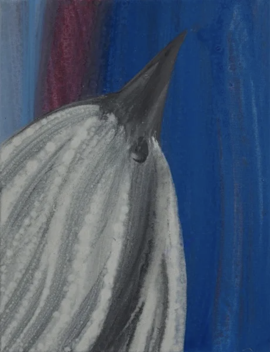 Screenshot 2026-01-08 at 13.09.22.png