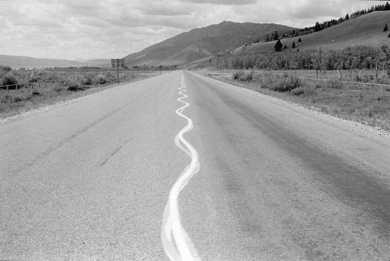 Joel-Meyerowitz-Yellowstone-National-Park-1964-Archival-pigment-print-1536x1026.jpg