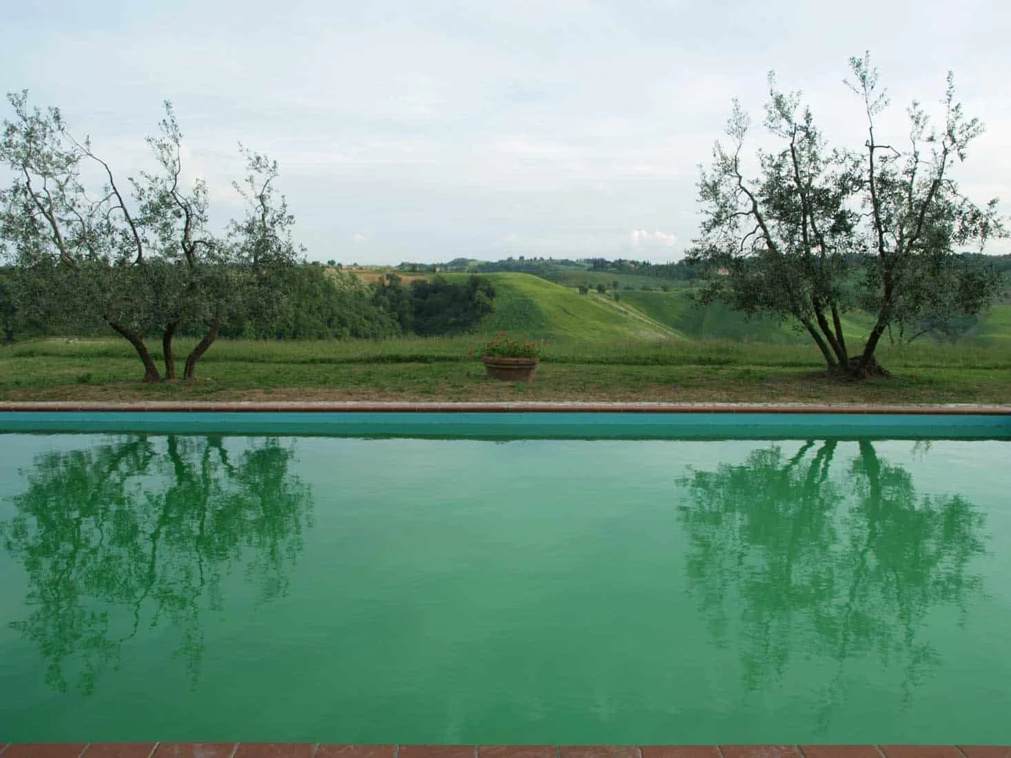 Joel-Meyerowitz-Tuscany-Italy-2005-Archival-pigment-print.jpg