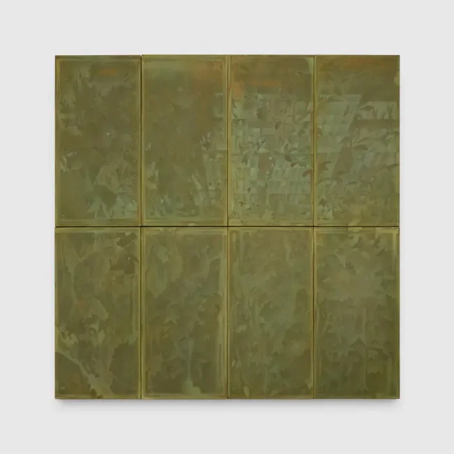 Albion Jeune / Xiaochi Dong