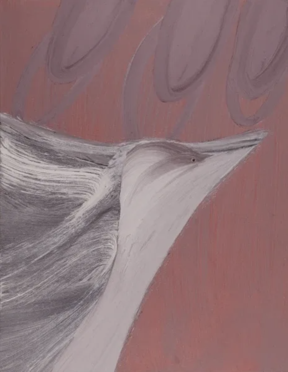 Screenshot 2026-01-08 at 13.09.13.png