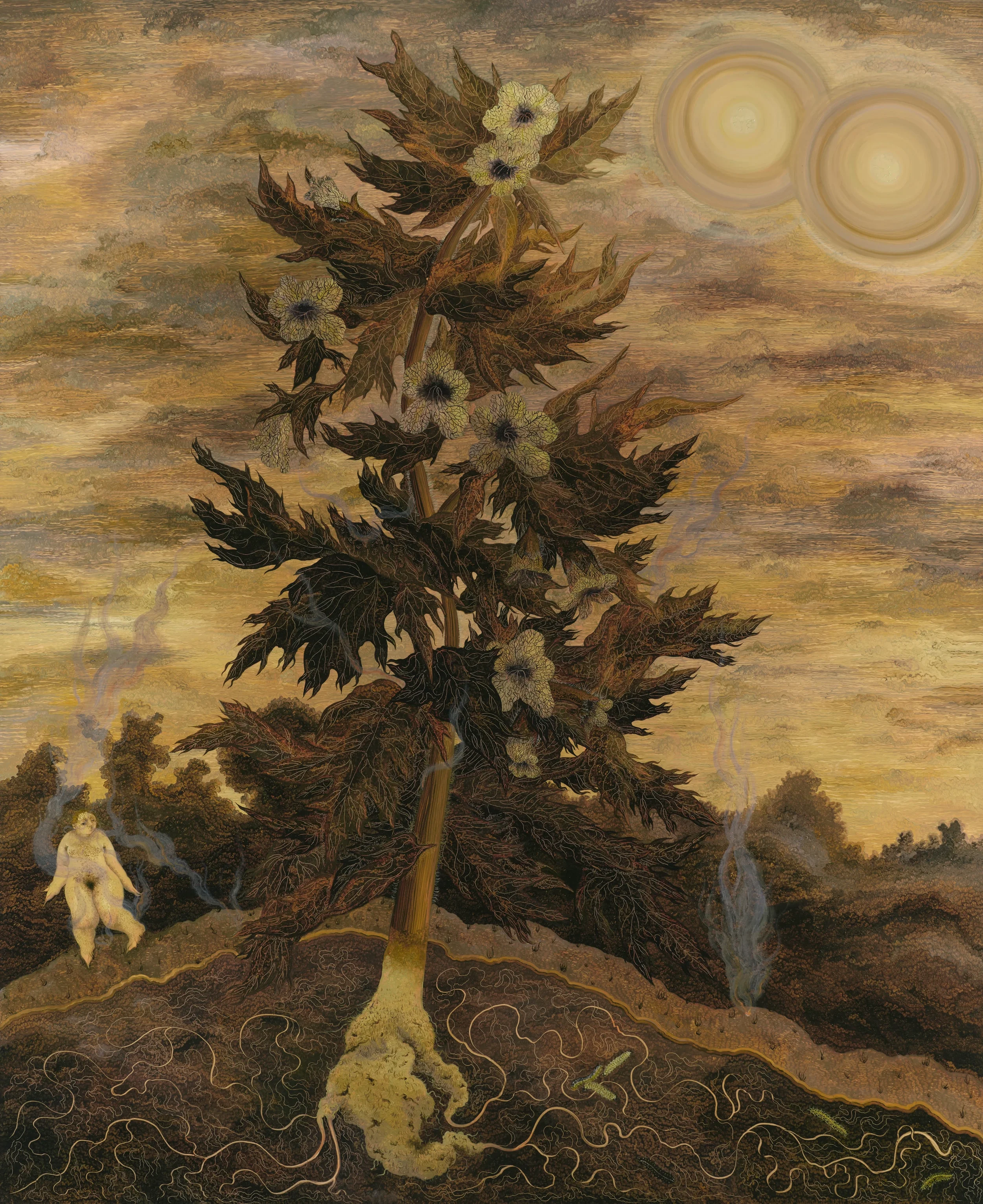 Pilar Corrias Savile Row / Georg Wilson