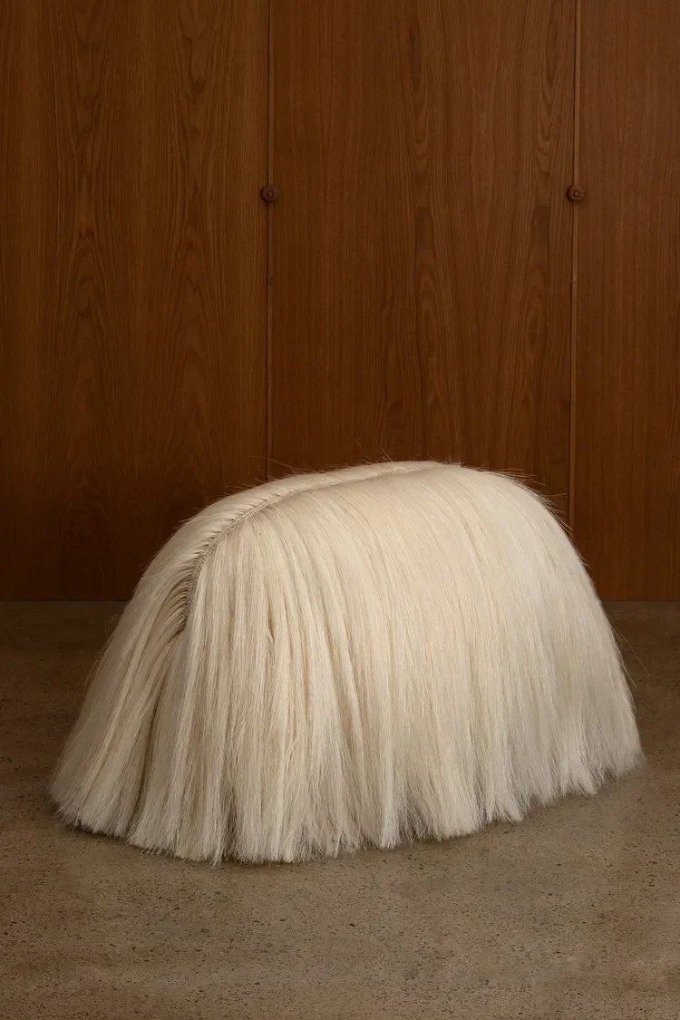 sarahmyerscoughgallery-fernando-laposse-sisal-pup-2021.webp