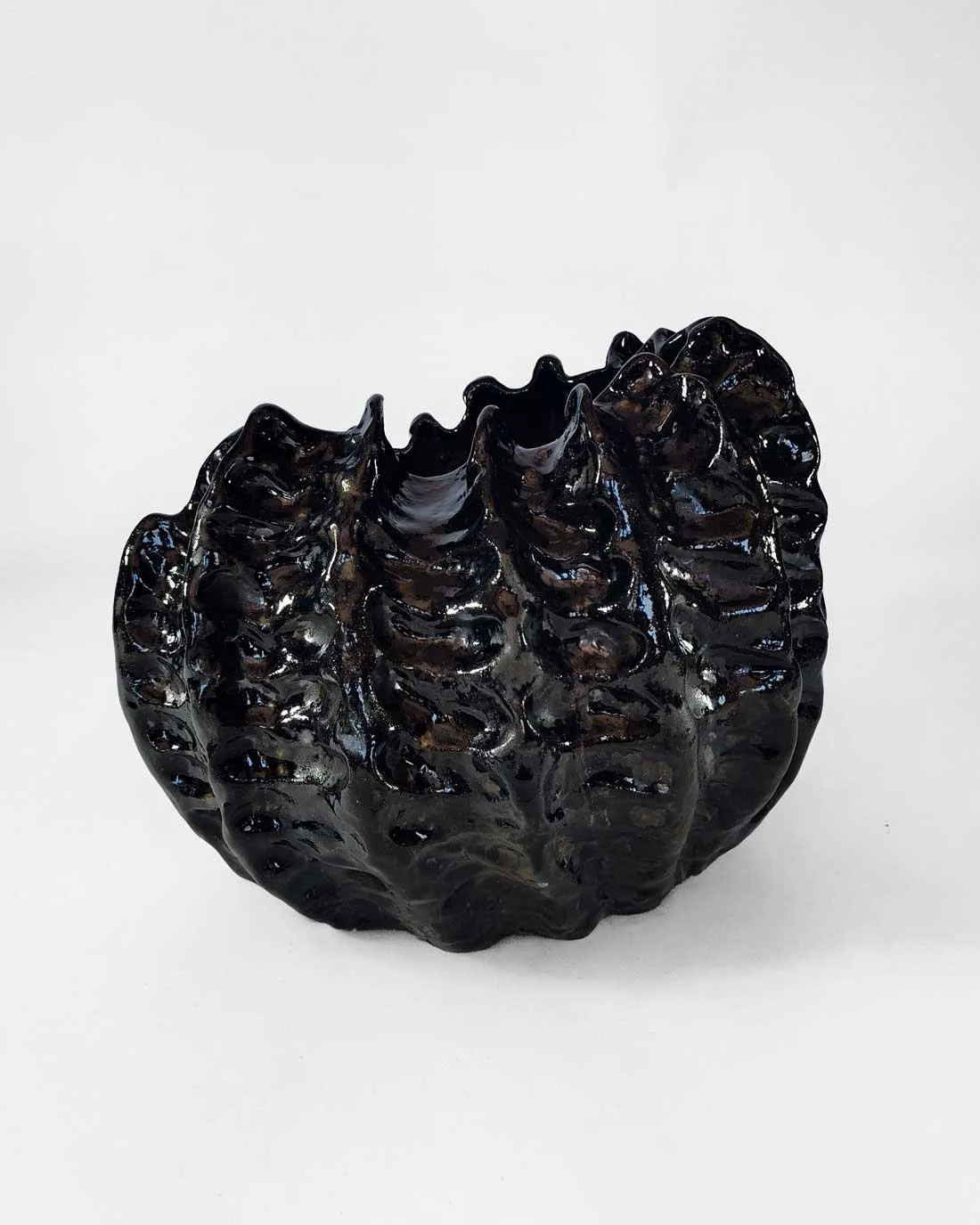 Metamorphosis on Clay-1.jpg