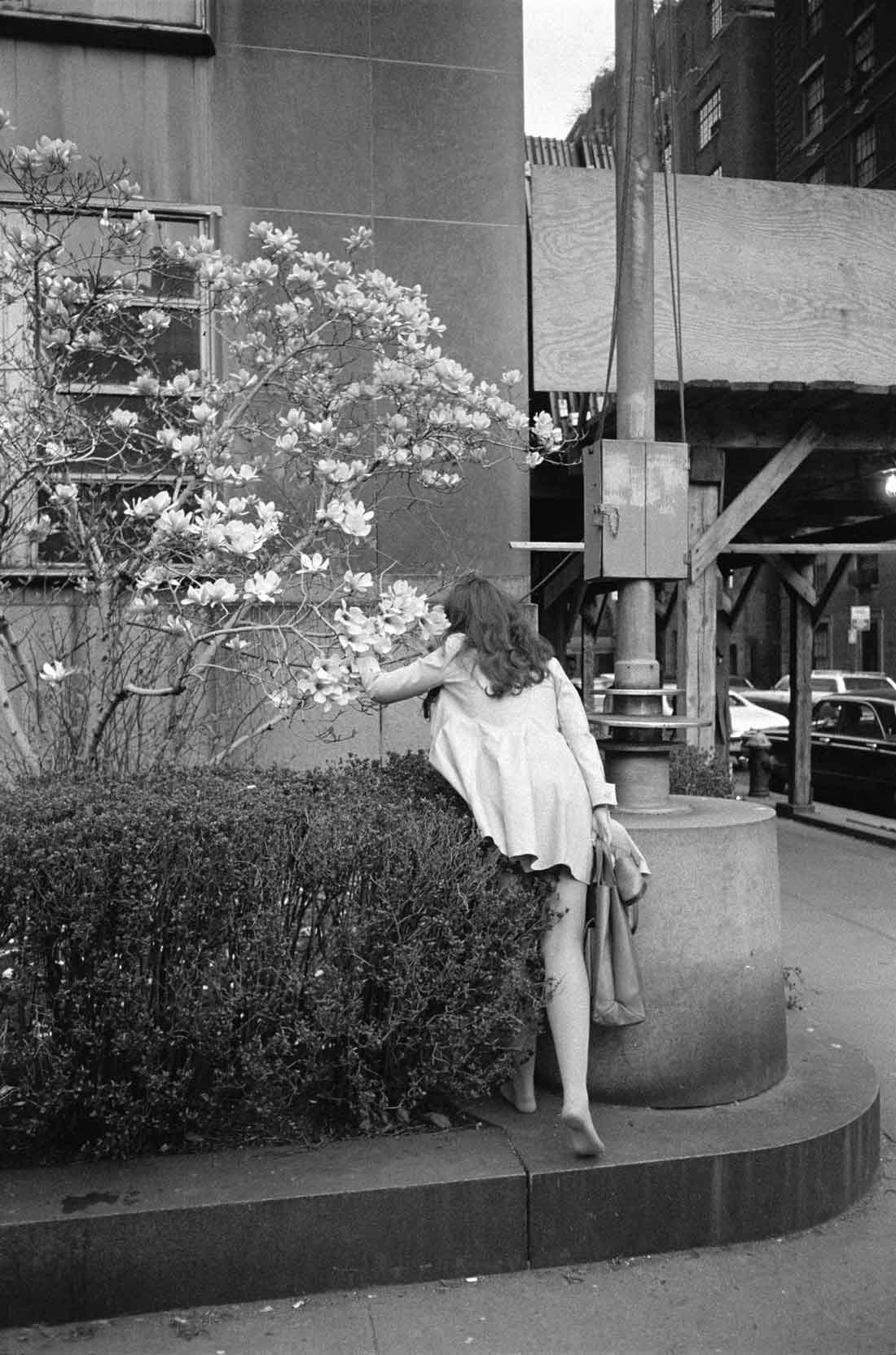 Joel-Meyerowitz-New-York-City-1970-Archival-pigment-print.jpg
