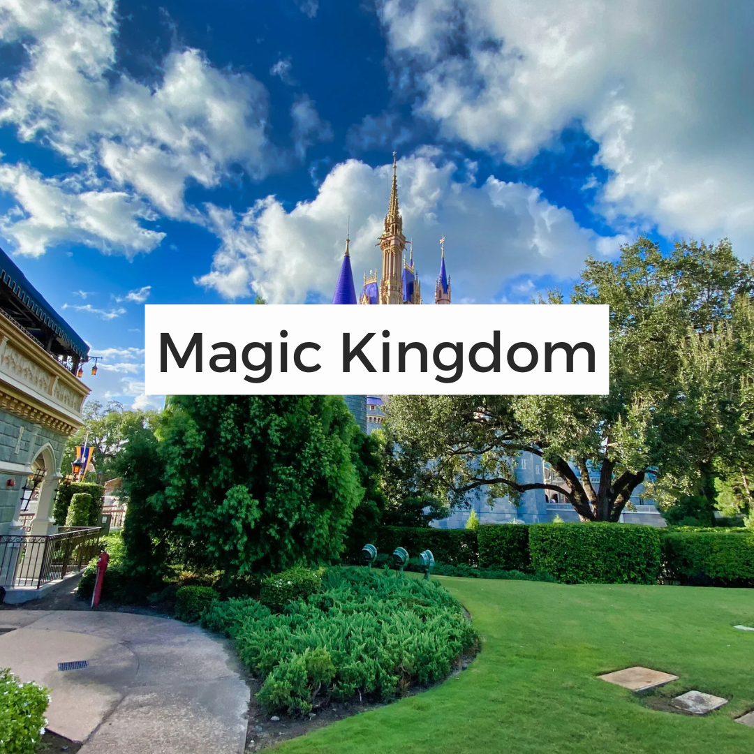 Magic Kingdom Menus Button.png