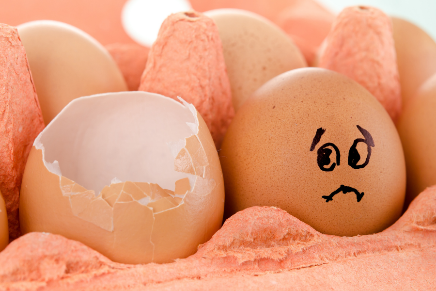 Embracing Failure: A Key to Success in Higher Education