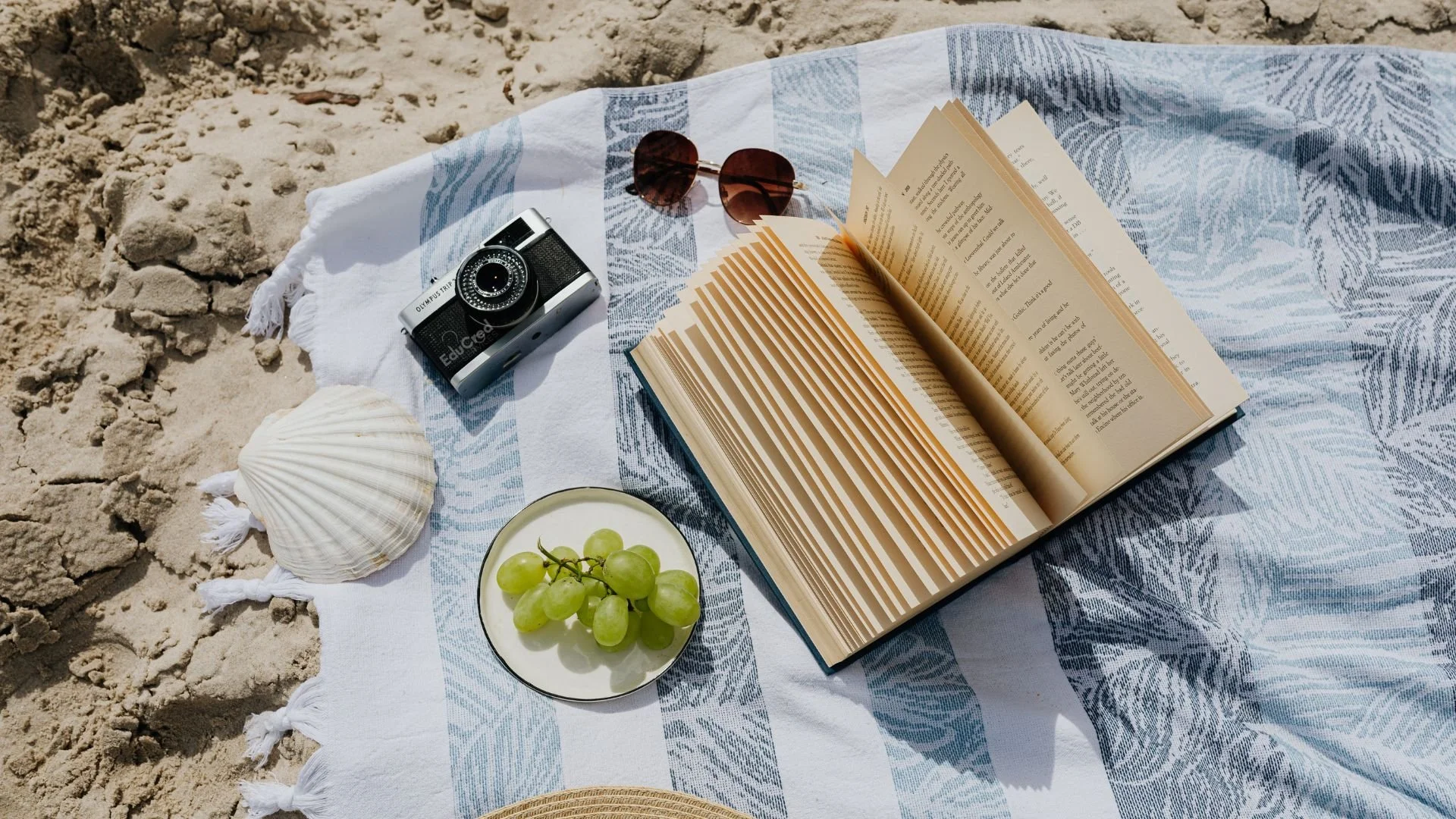 A beach picnic with an open book
