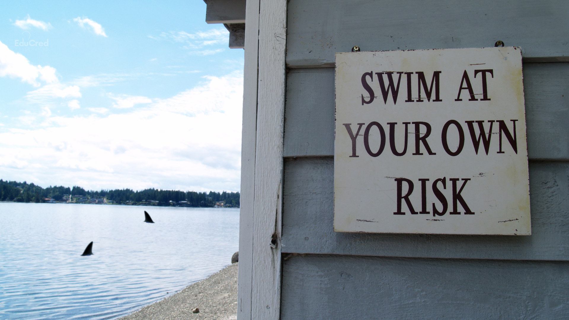 Higher Ed Shark Week: What’s Lurking Beneath Your Institution?