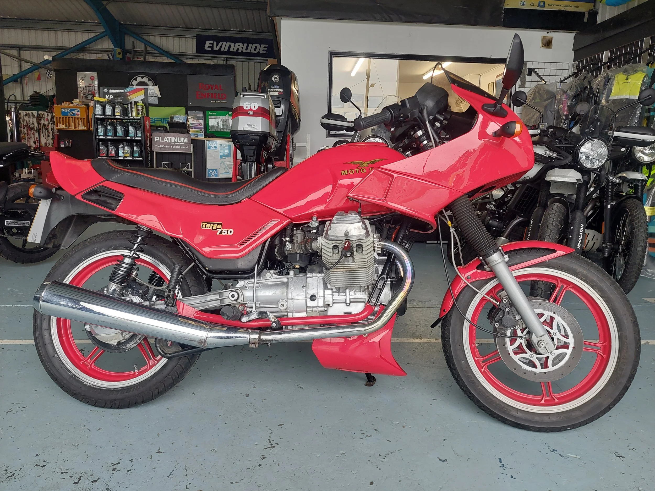 1000005104 (002).jpg