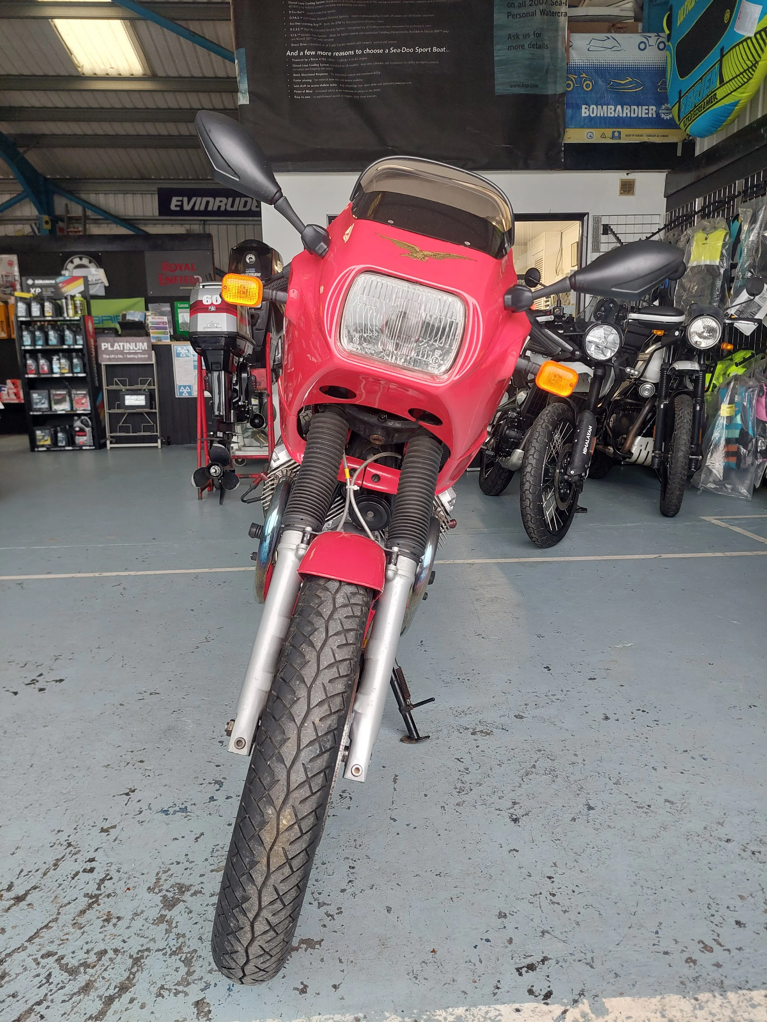 1000005103 (002).jpg