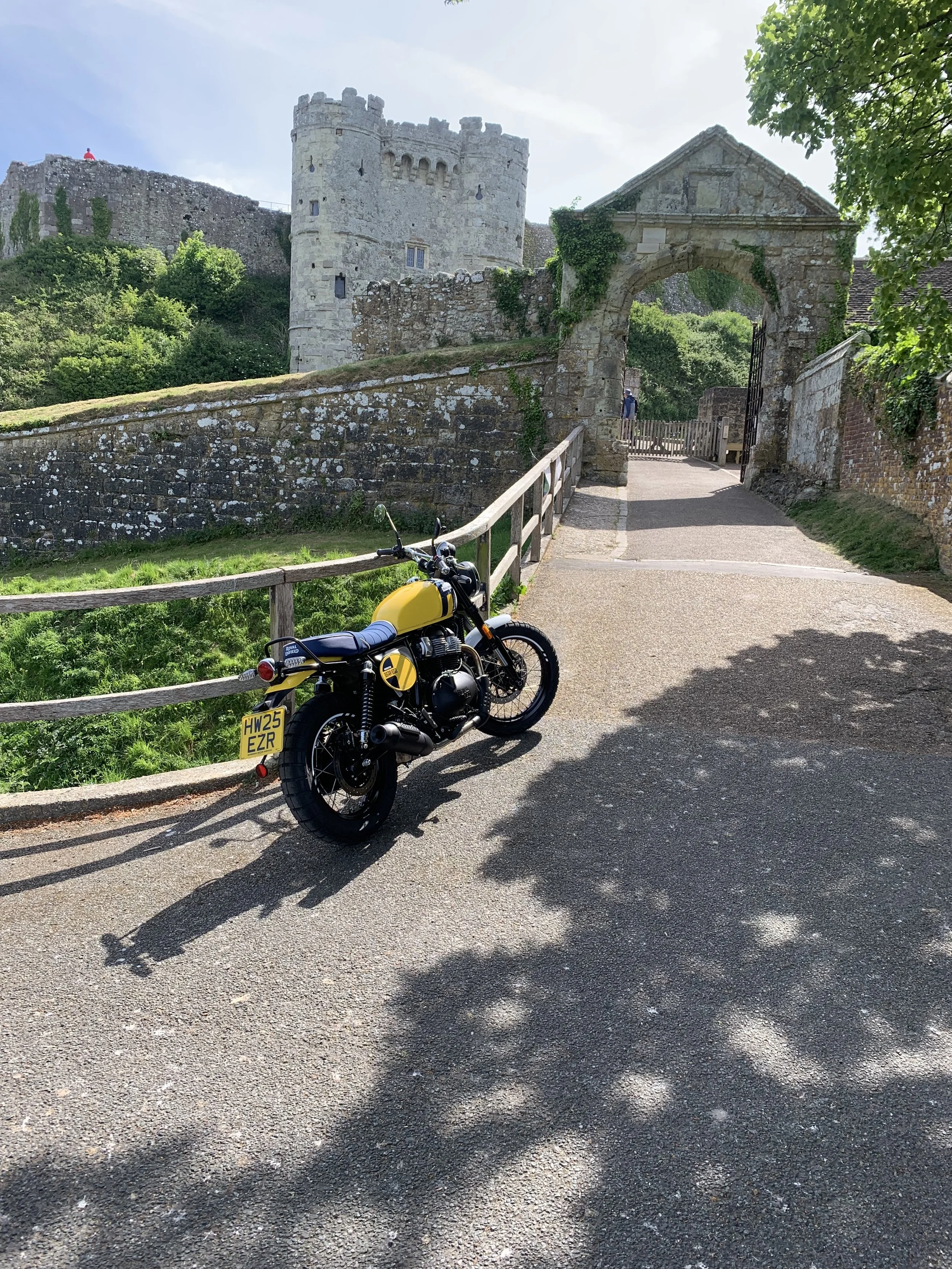 Bear at the Castle.jpg