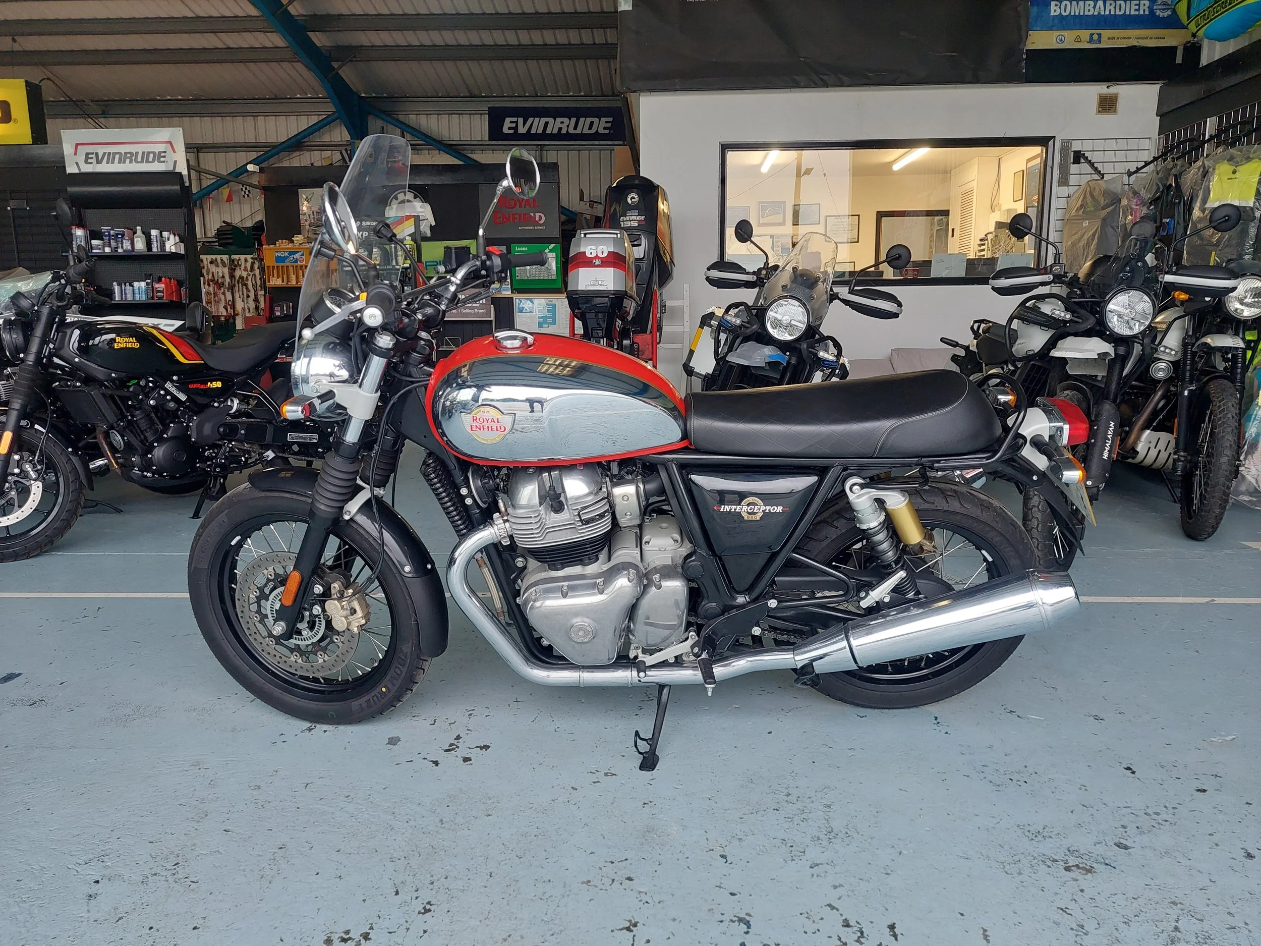 1000005121 (002).jpg