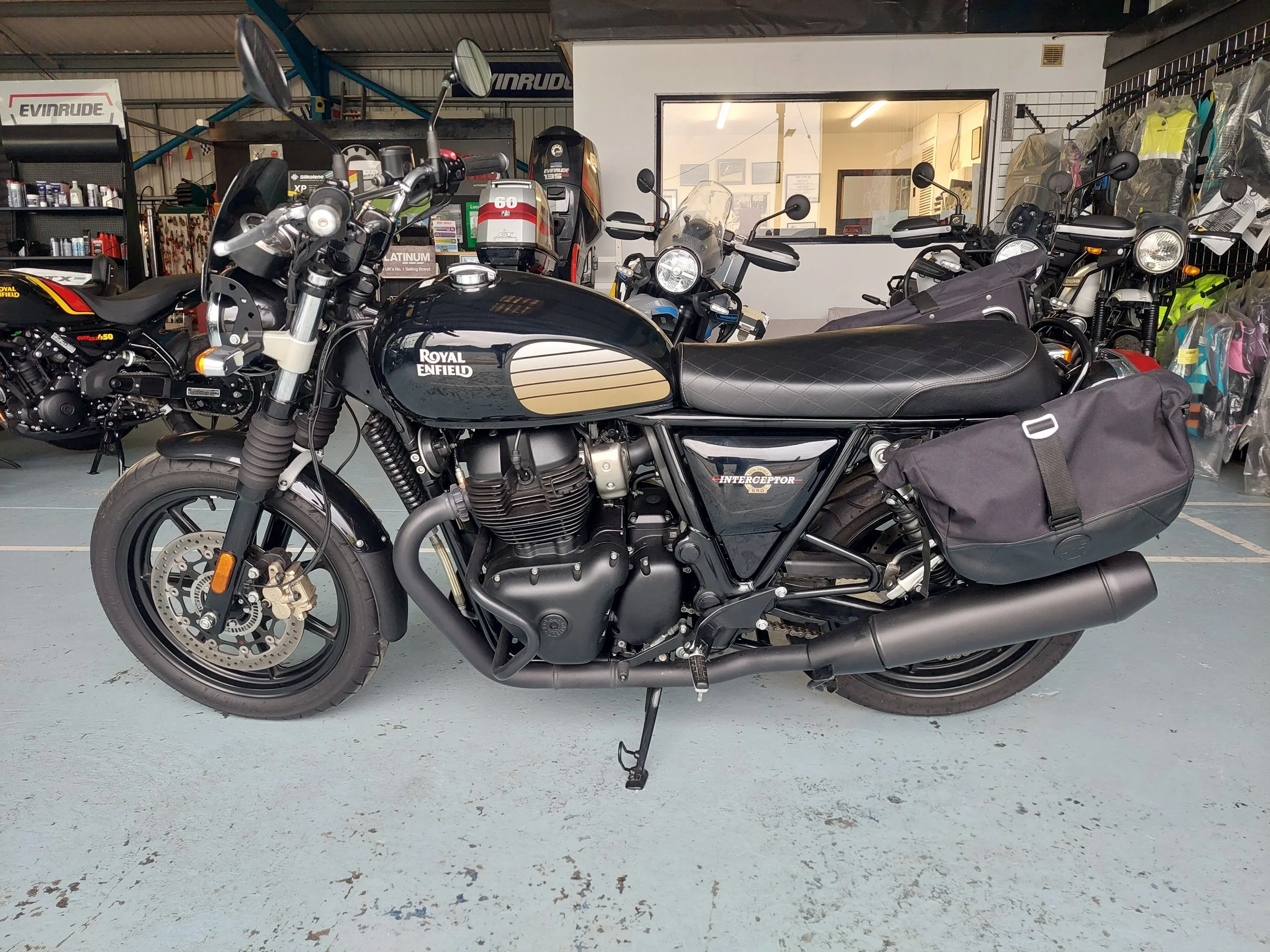 1000005117 (002).jpg