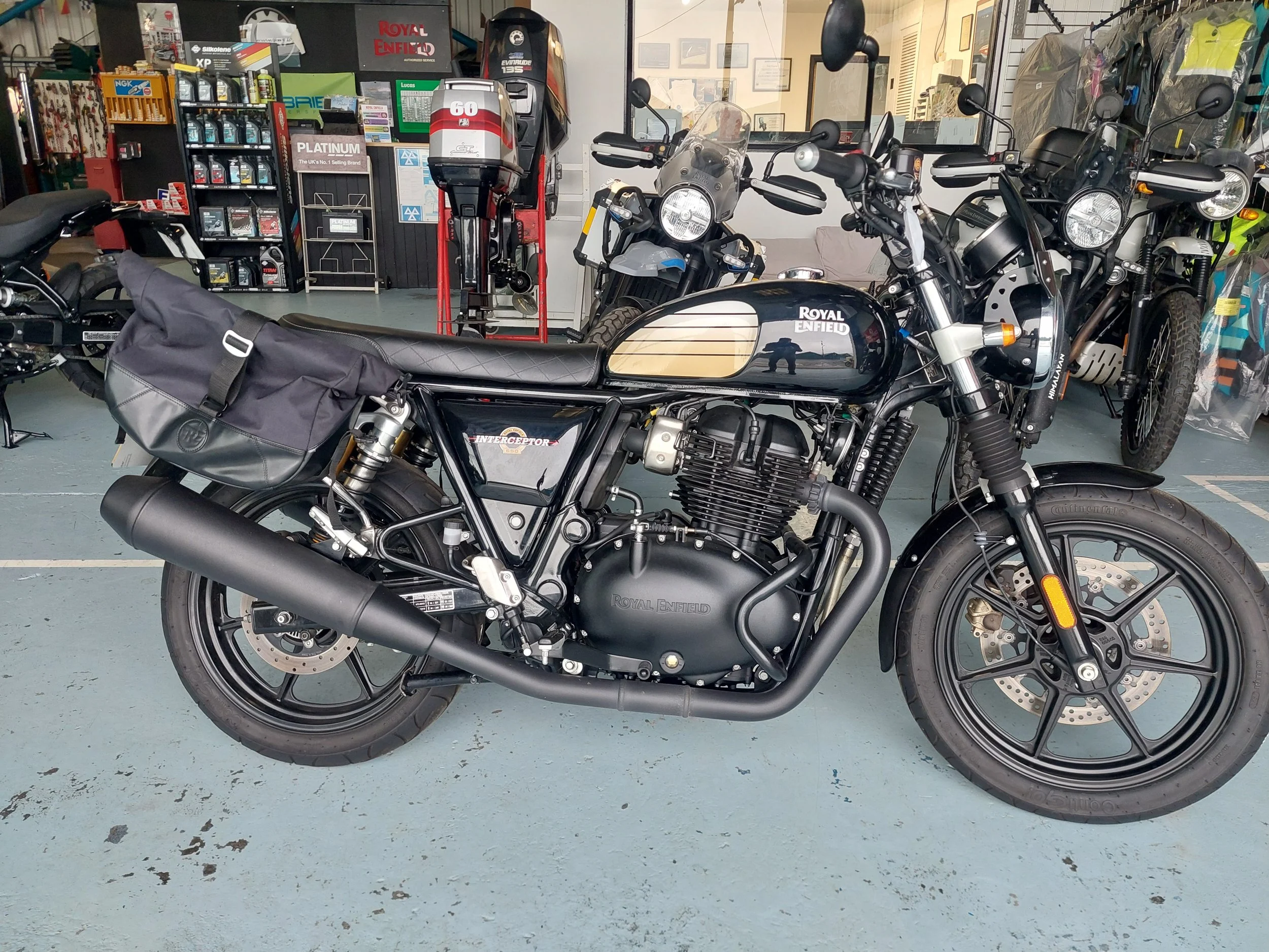 1000005115 (002).jpg