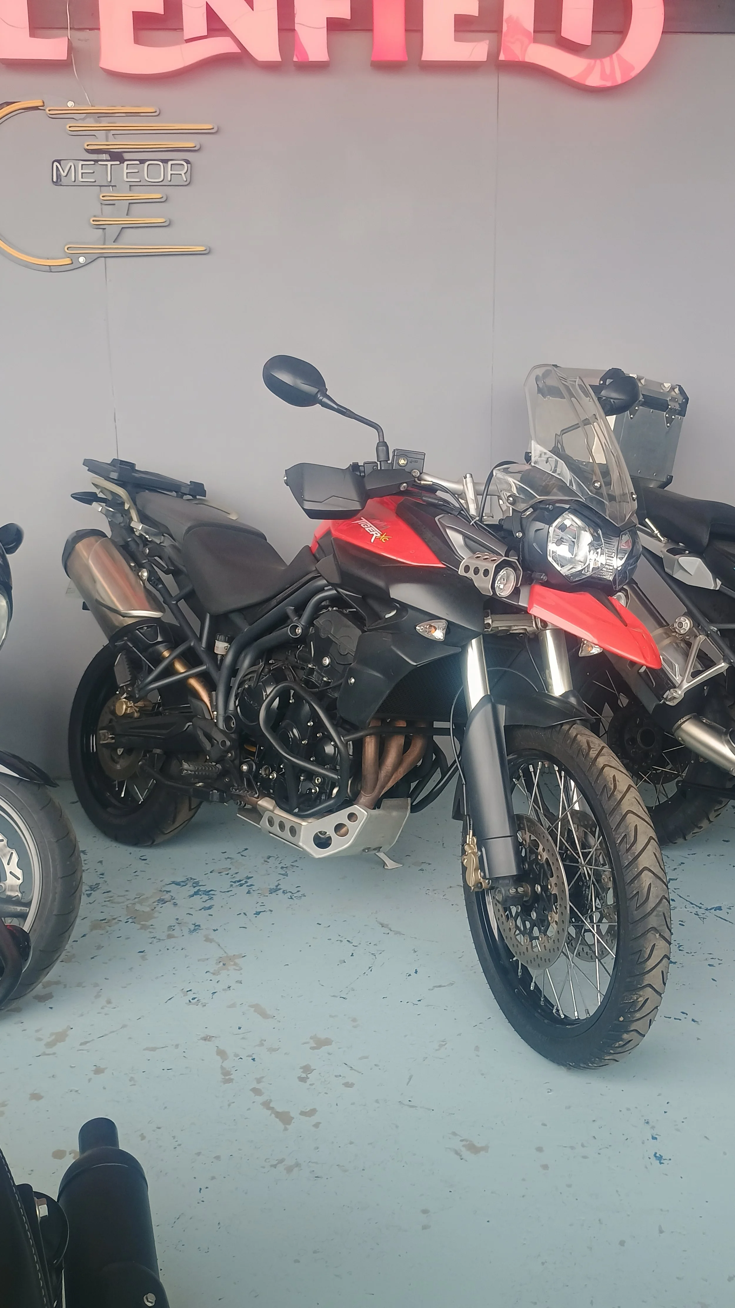 tiger 800.jpg