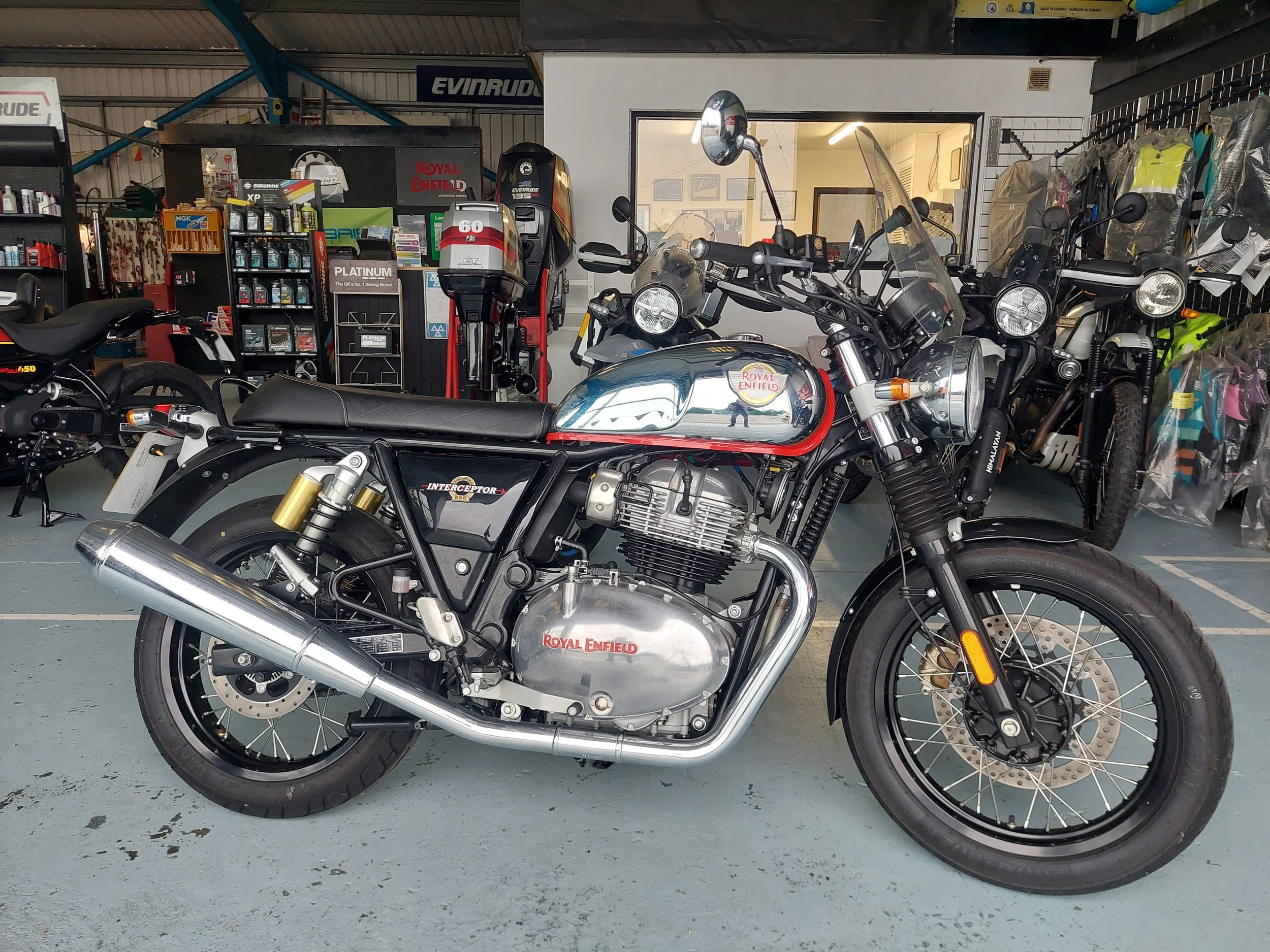 1000005118 (002).jpg