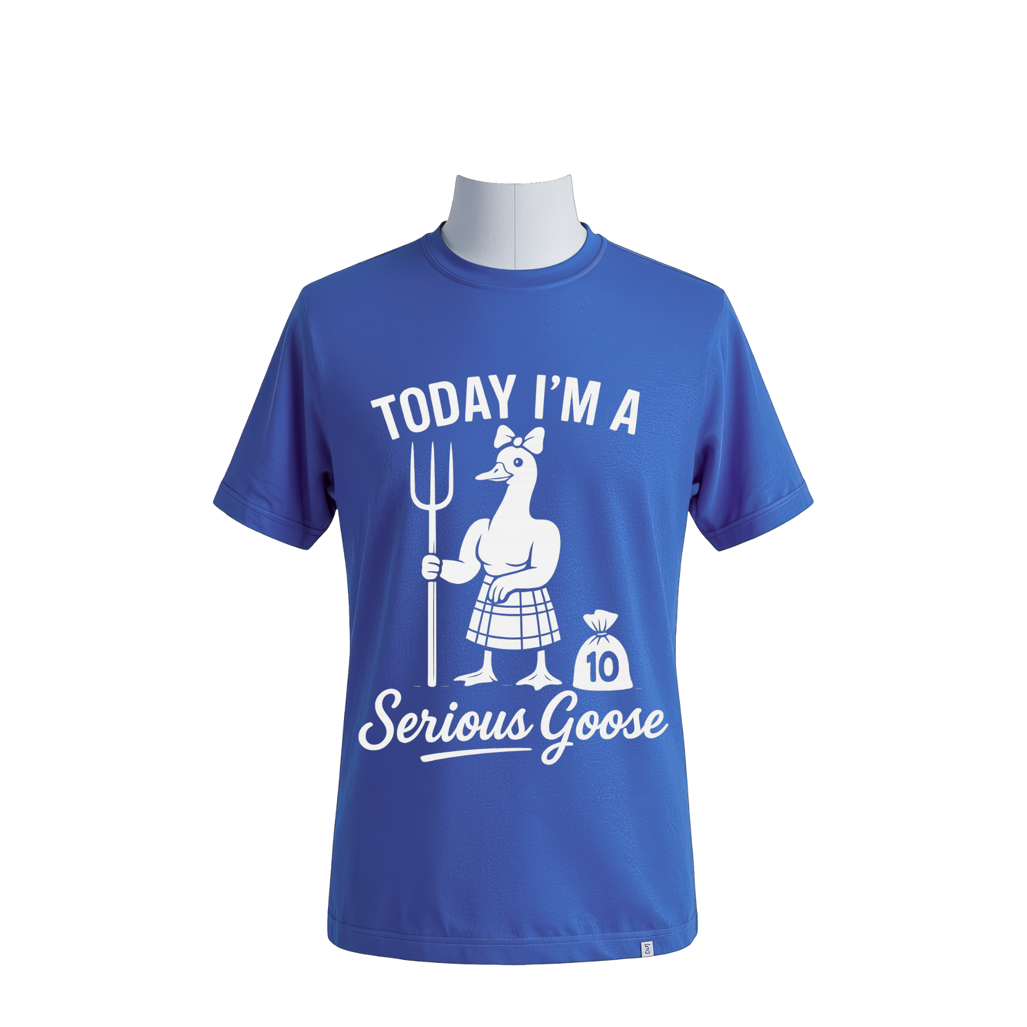 SeriousGooseBlue.png