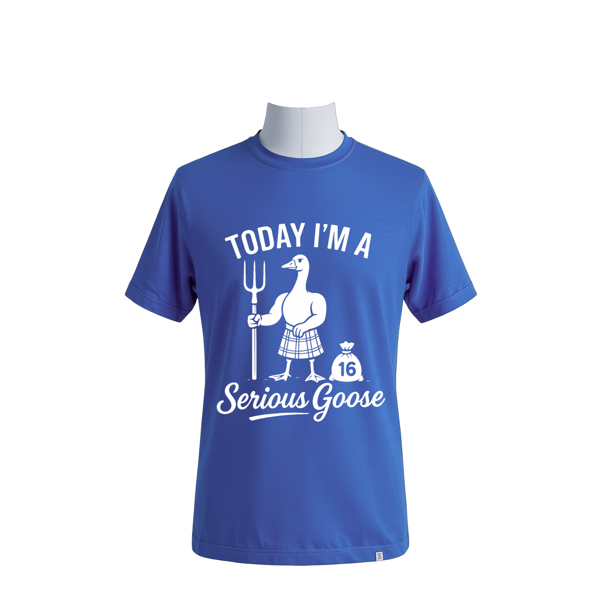 SeriousGooseBlueM.png
