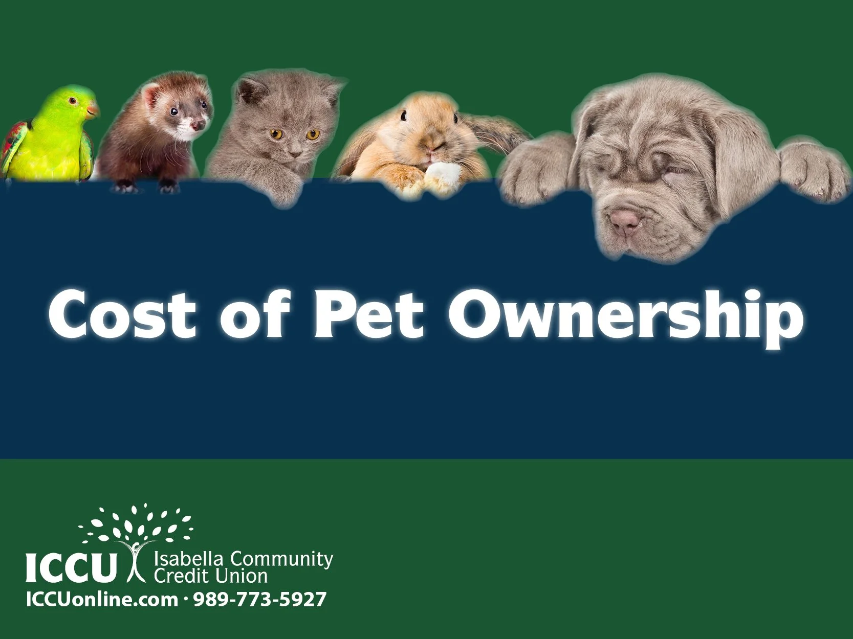 Cost of Pet Ownership