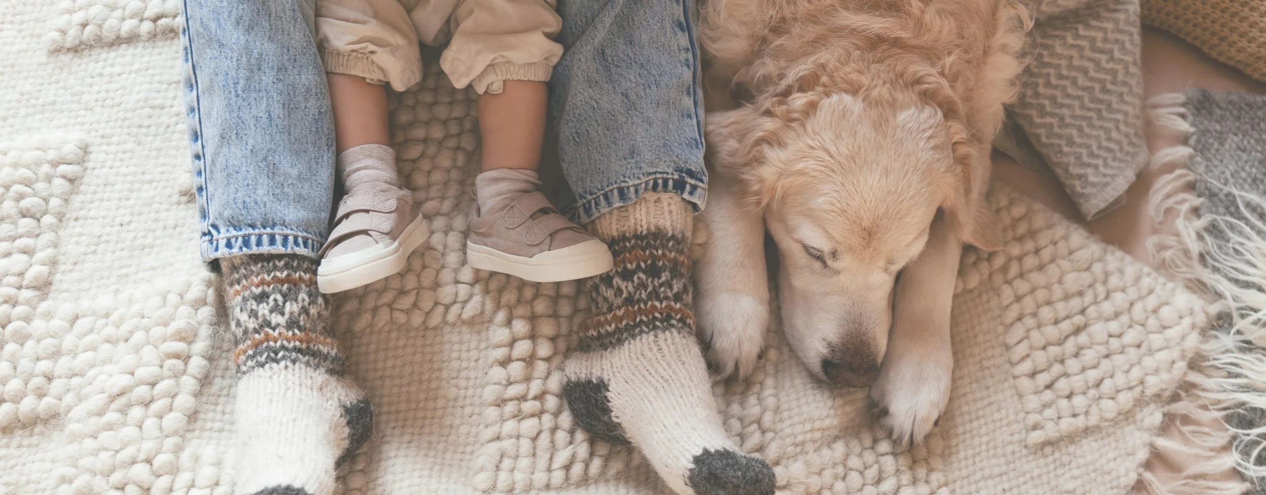  Comfort starts with  a home you love   Apply Now  