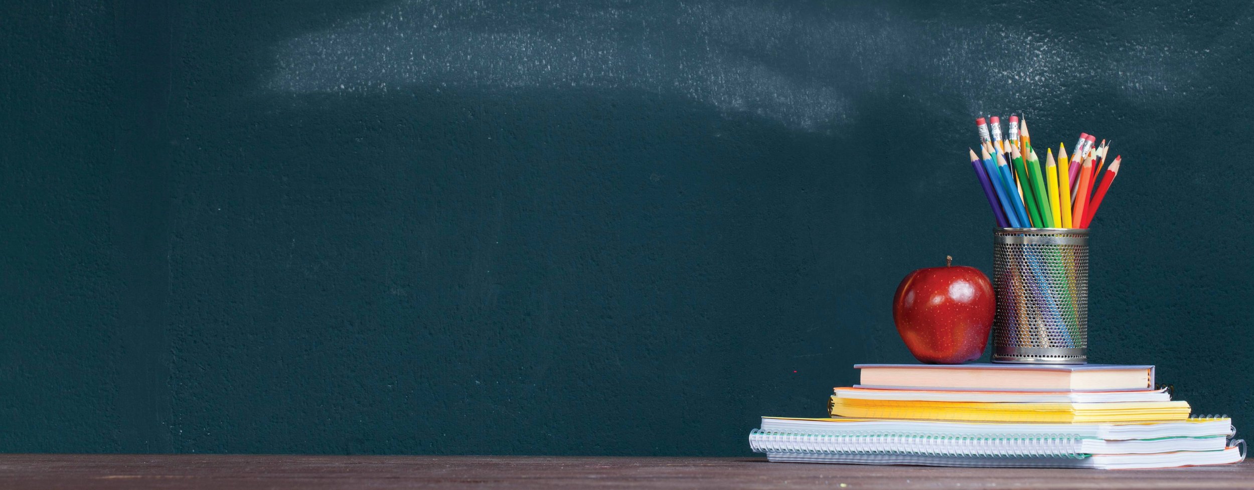 Educational Mini Grants