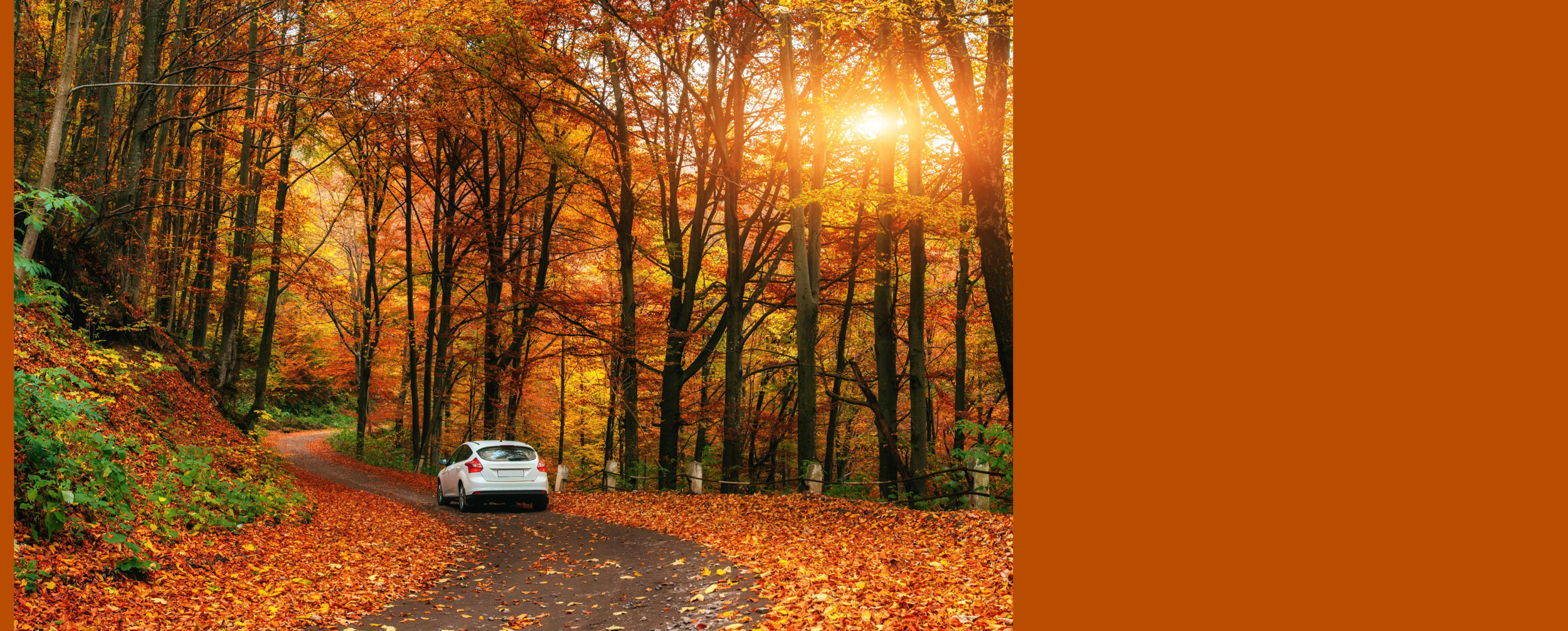  Shift Into Fall!  Save up to 2% Off Your Auto Loan as low as 4.49% APR*     Click here for more information  