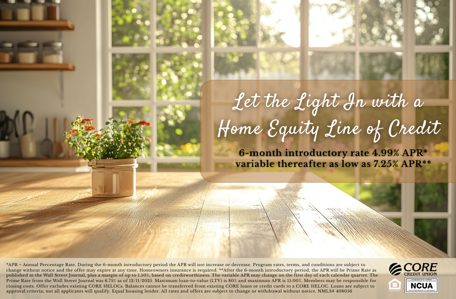 House countertop with a potted plant and light shining through a window