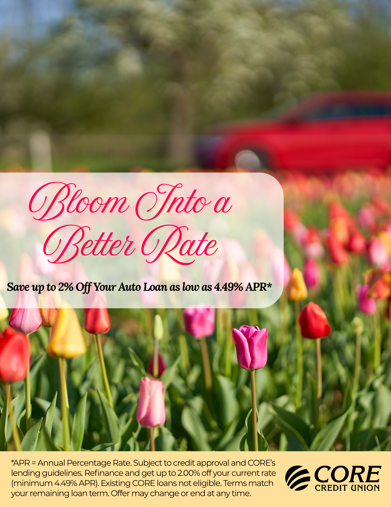 Flower field with tulips and a red car
