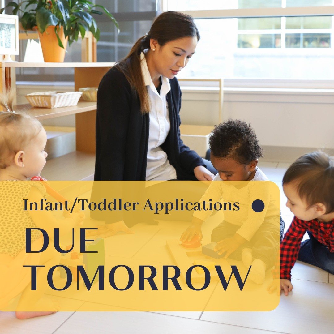 📢 Last Chance to Apply! 📢

As a reminder, applications for our Infant/Toddler course are due this Wednesday, May 1. Visit the link in our bio for more information about the program and how to apply.