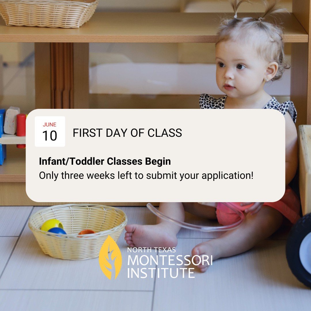 Classes for our Infant/Toddler course begin on Monday, June 10. That means you only have three weeks left to submit your application! 

Begin your career as a credentialed Montessori guide today. 🔗Learn more and apply: https://www.learnatntmi.com/in
