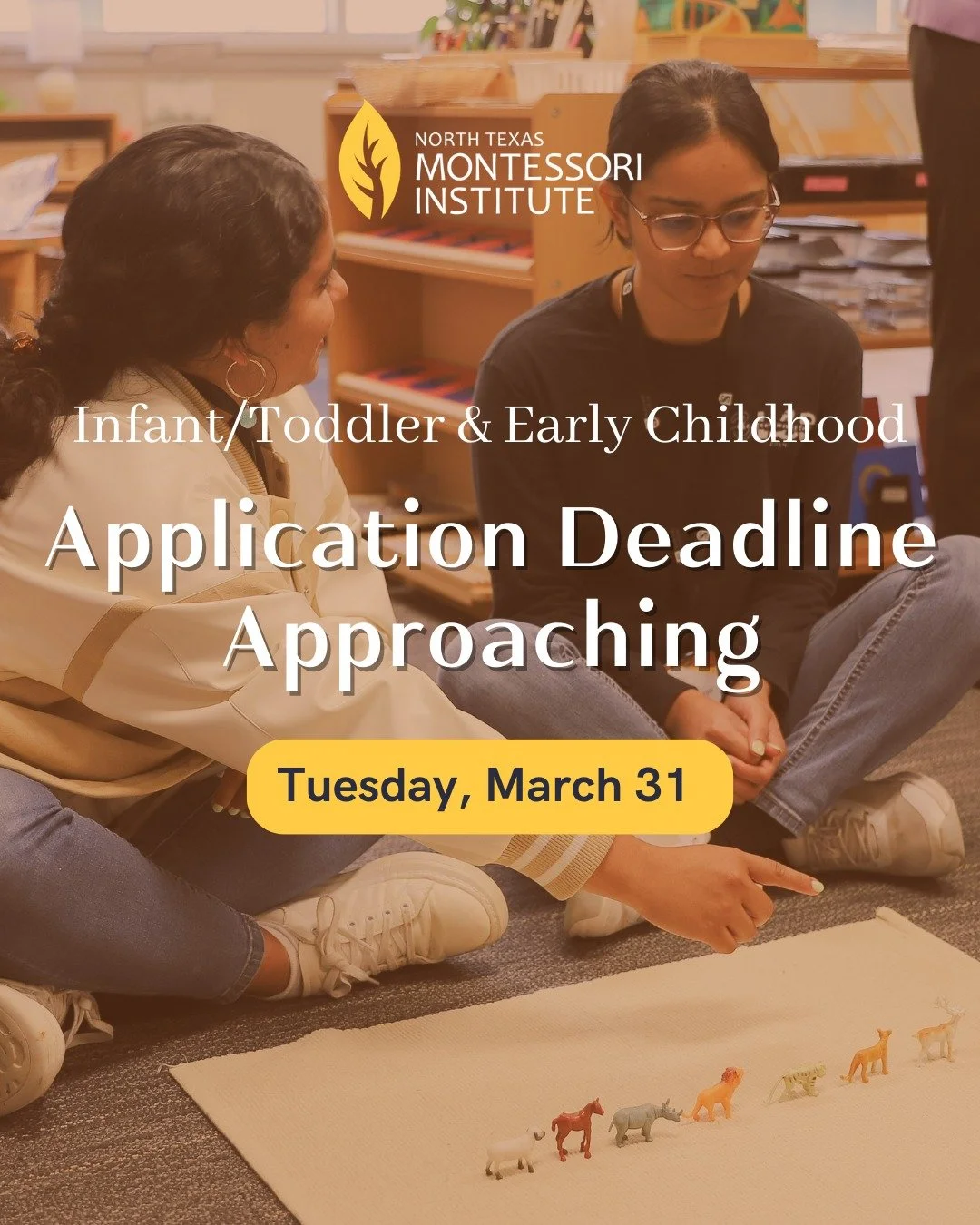 One week left to apply!

The application deadline for North Texas Montessori Institute&rsquo;s 2026 Infant/Toddler and Early Childhood courses is Tuesday, March 31. If you&rsquo;re ready to begin your journey as a Montessori educator, we encourage yo
