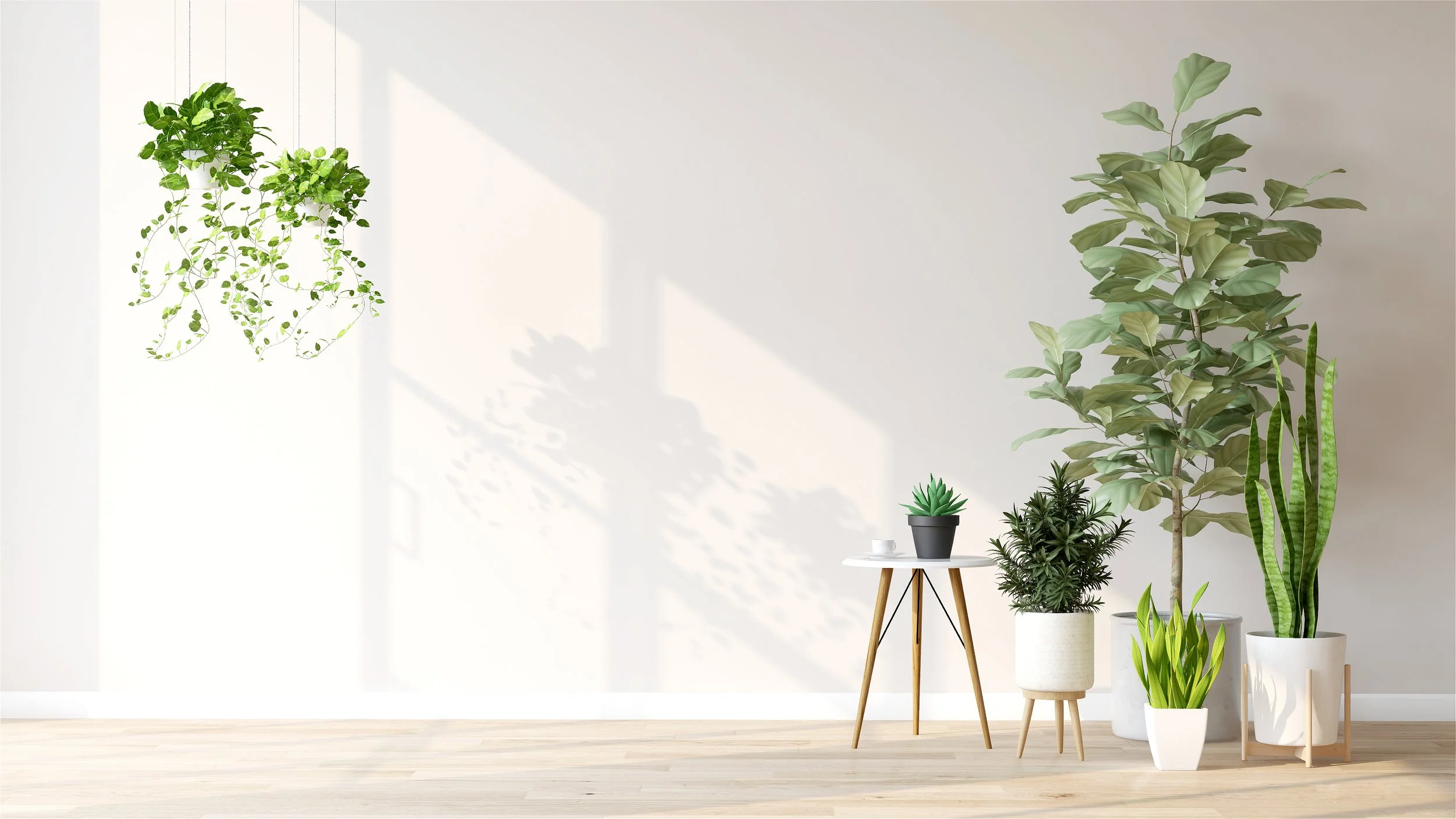 Two people having coffee with a book and a plant to represent individual therapy. 
