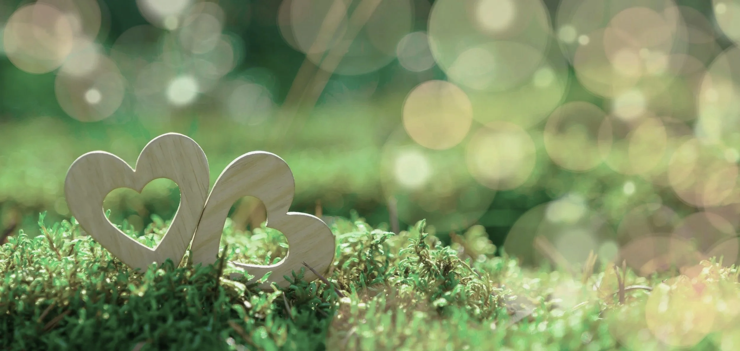Two hearts in nature