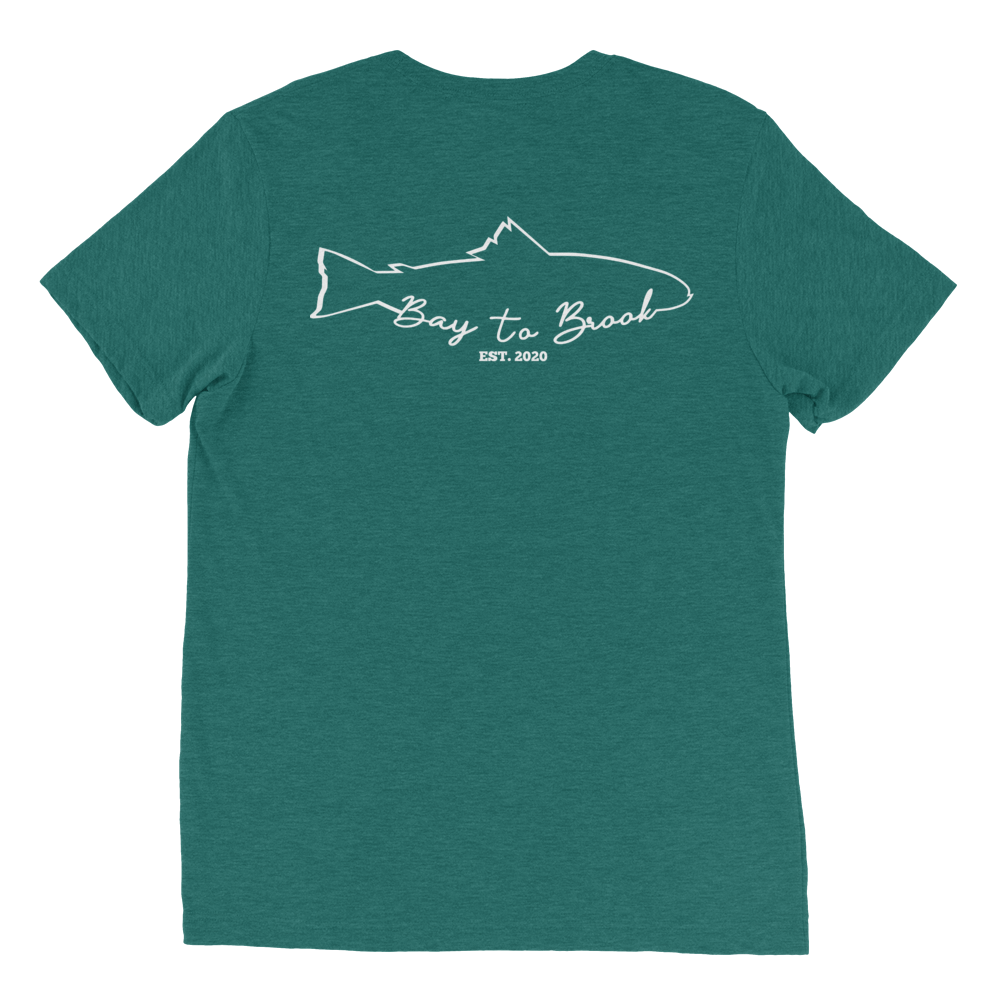 unisex-tri-blend-t-shirt-teal-triblend-back-6332c2955b66b.png