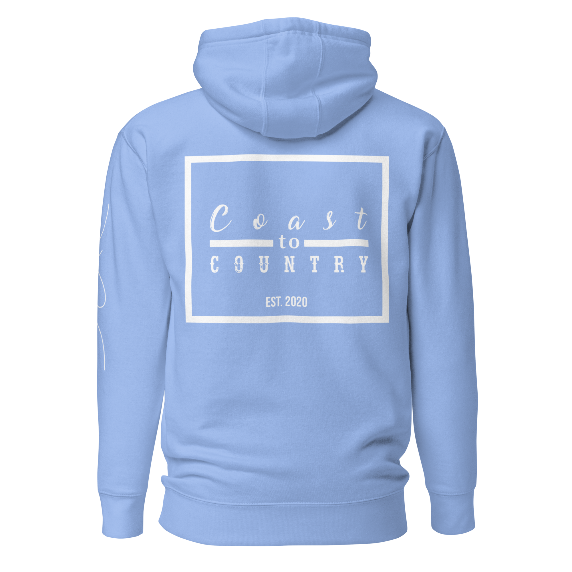 unisex-premium-hoodie-carolina-blue-back-635d0c129aabd.png
