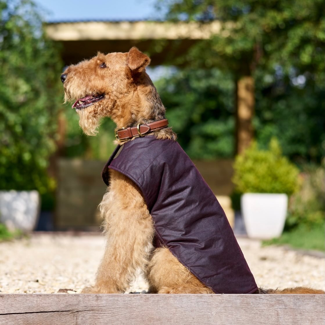 Classic country wear for dogs 
#fieldware #theartofcraft #dogcoat #waxedcotton