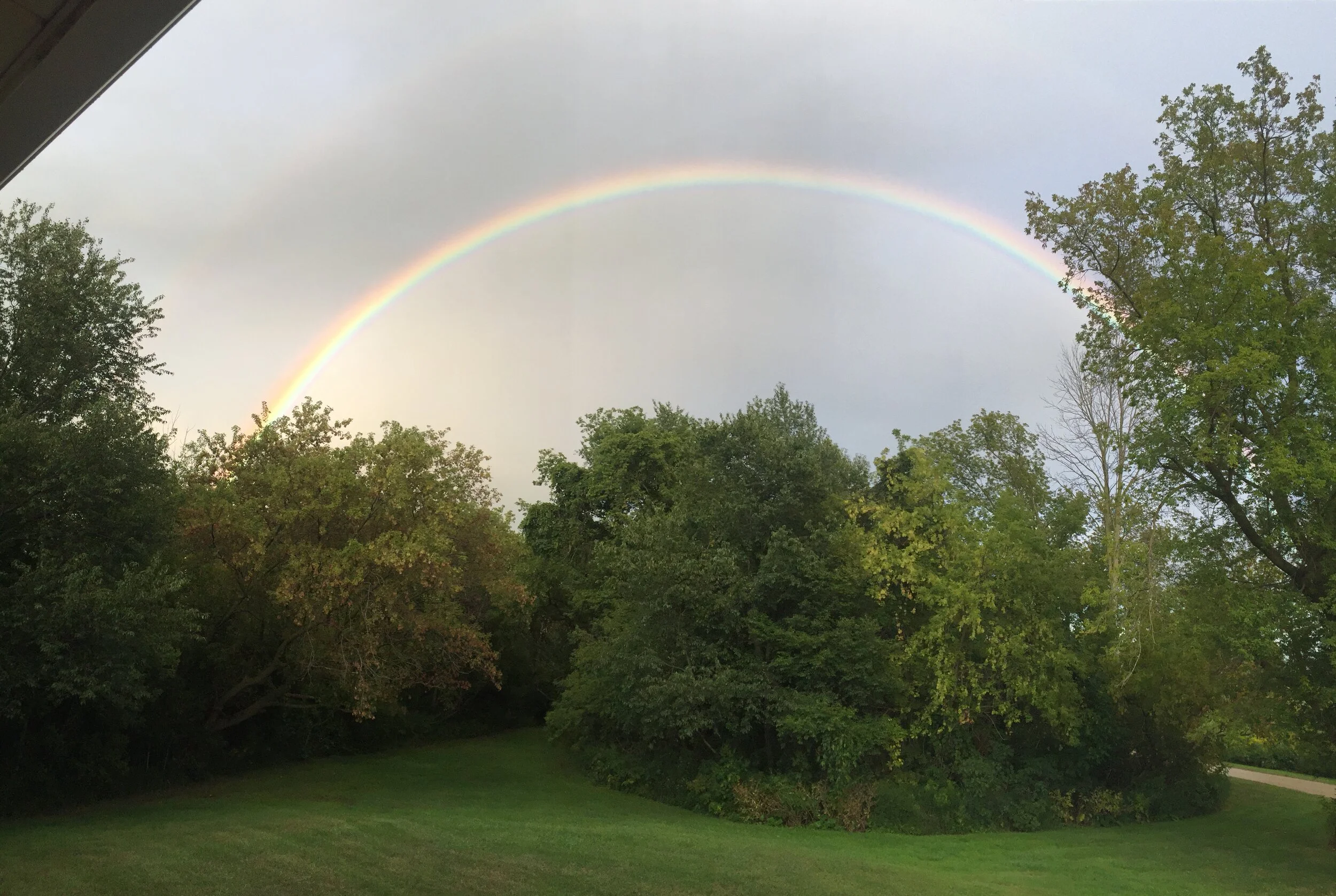Can our faith heal us? - reflex on Matt 9:18-26