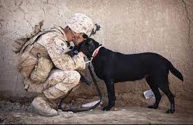 New Directions in the Treatment of PTSD and Traumatic Brain Injury (TBI)